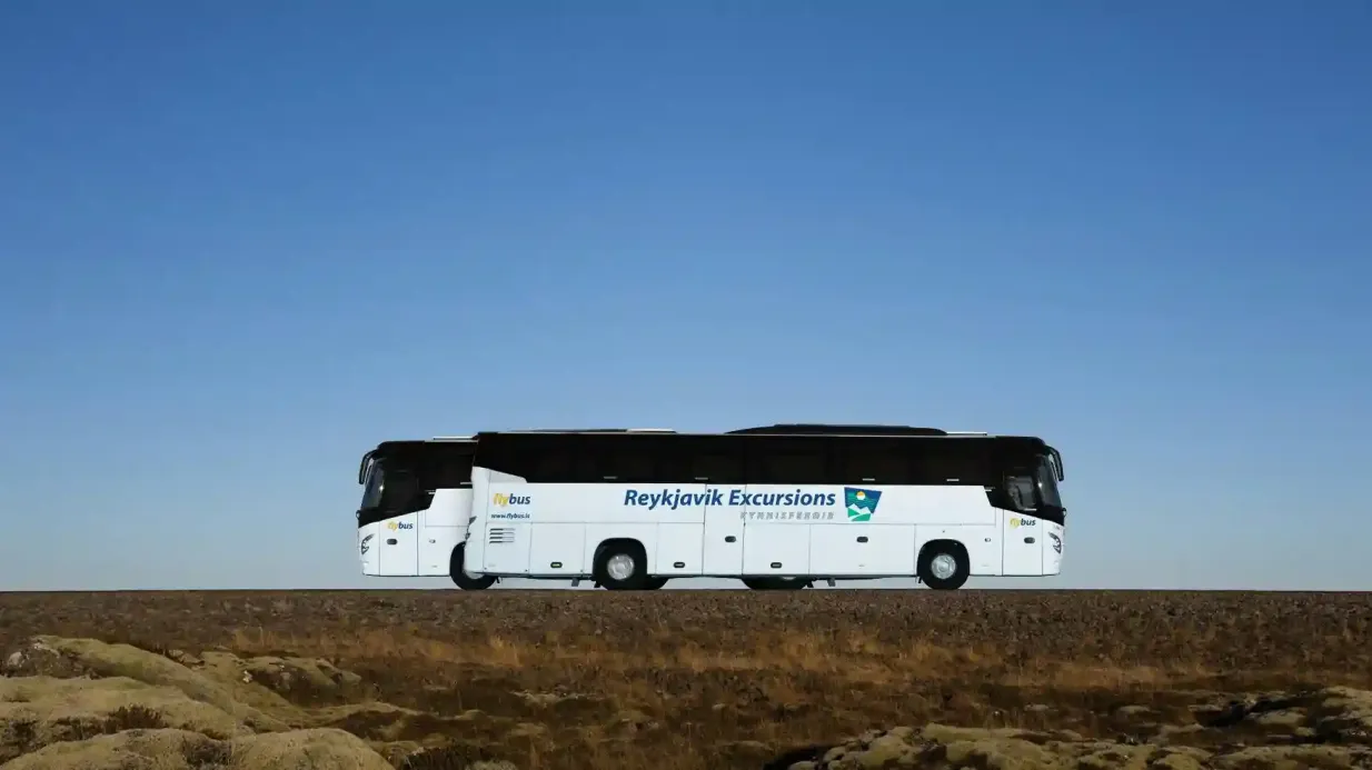 Trasferimento aeroportuale Keflavik-Reykjavik: Biglietto di sola andata Fornito da Icelandia