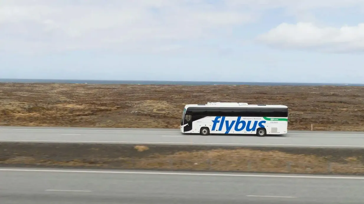 Traslado do aeroporto de Keflavik-Reykjavik: Bilhete de ida Organizado por Icelandia