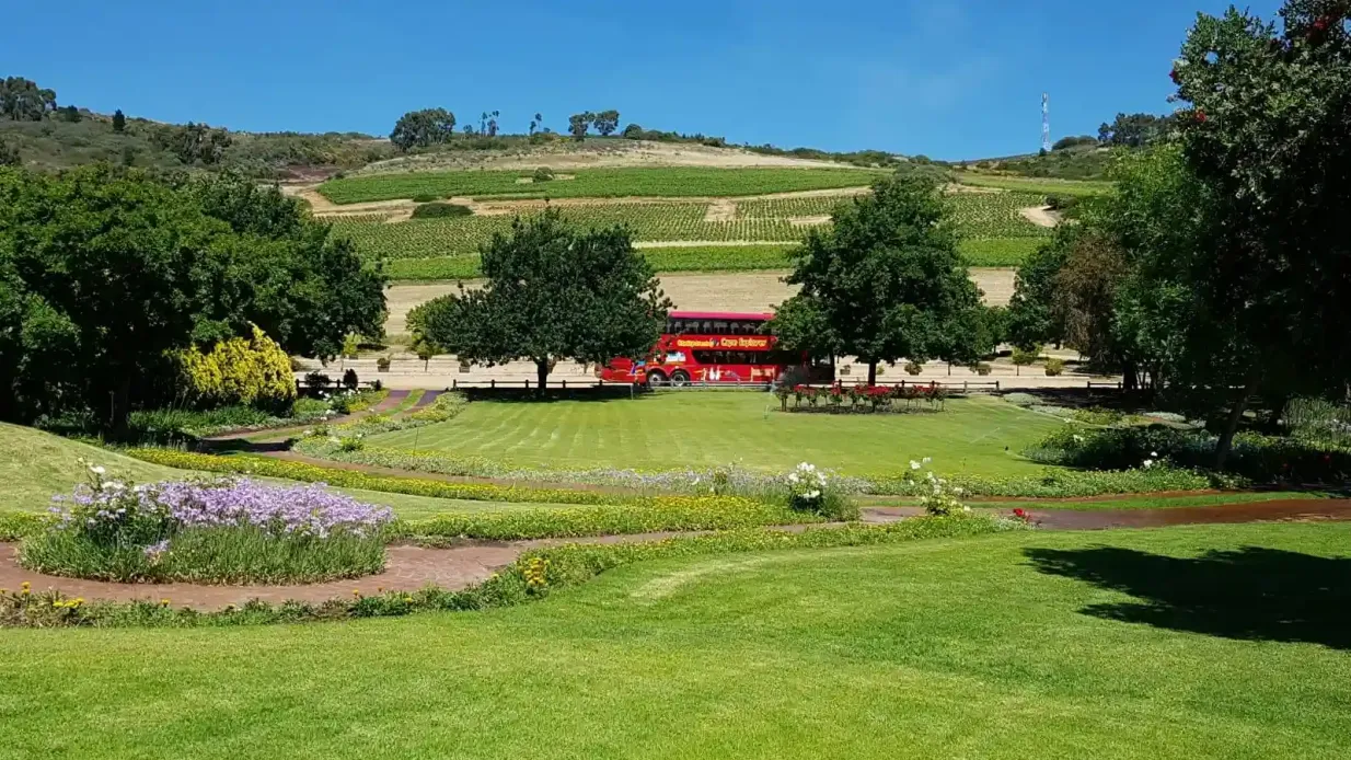 Franschhoek y Stellebosch: Visita guiada y cata de vinos
