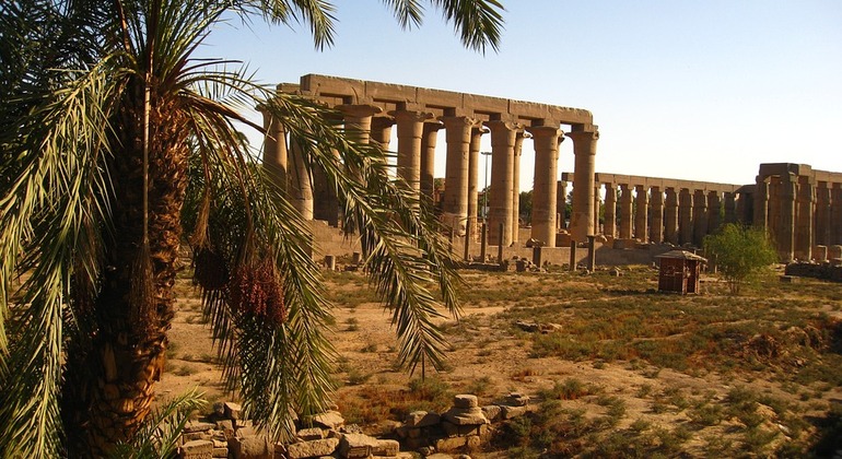 East Luxor - Karnak and Luxor Temple Tour