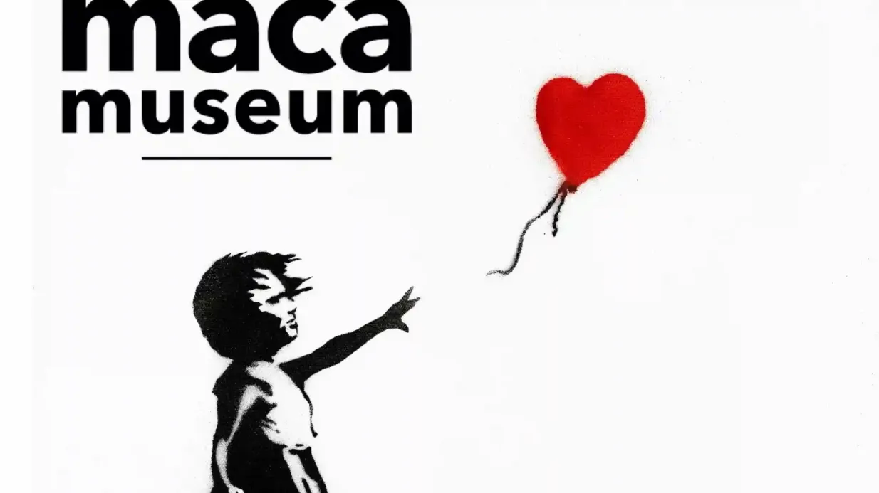 Museo MACA: Banksy e la Street Art - Mostra d'arte sui primi anni di vita