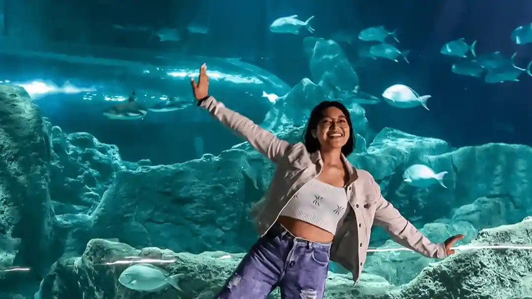 Michin Aquarium Guadalajara : Billet d'entrée