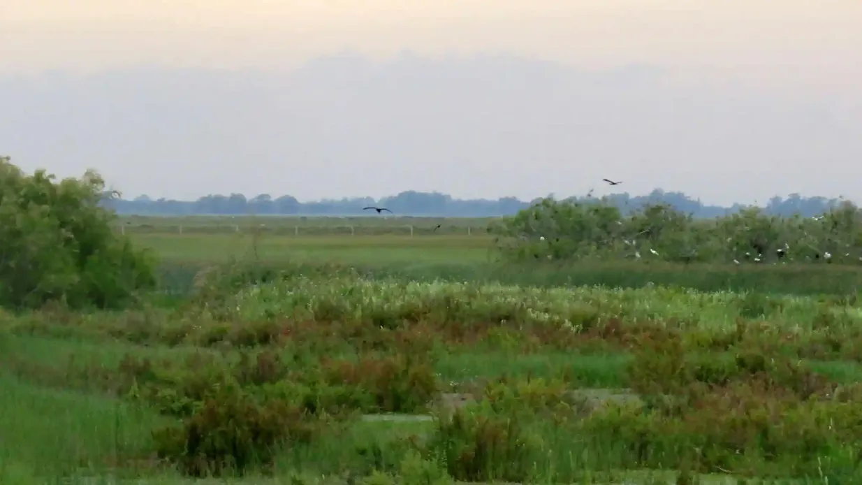 Doñana-Nationalpark & El Rocío: Tagesausflug von Sevilla aus Bereitgestellt von Naturanda