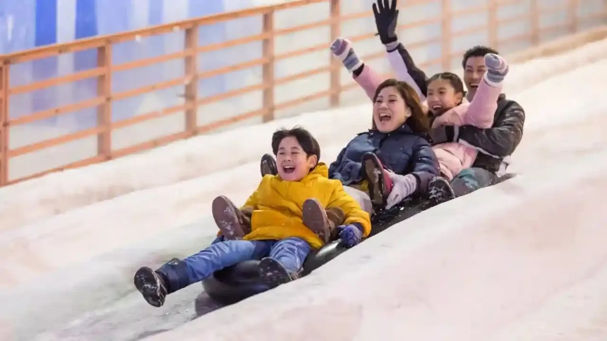 Snow City Singapore: Eintrittskarte
