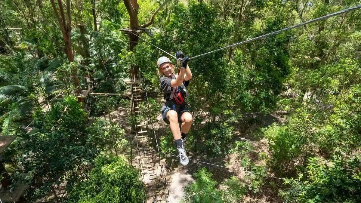TreeTop Challenge Currumbin Adventure Park Fournie par TreeTop Challenge