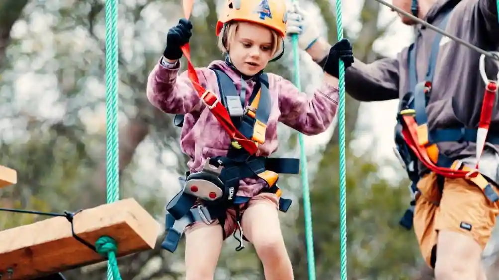 Treetops Adventure Yanchep : Parcours acrobatique junior Fournie par TREES ADVENTURE HOLDINGS PTYLTD