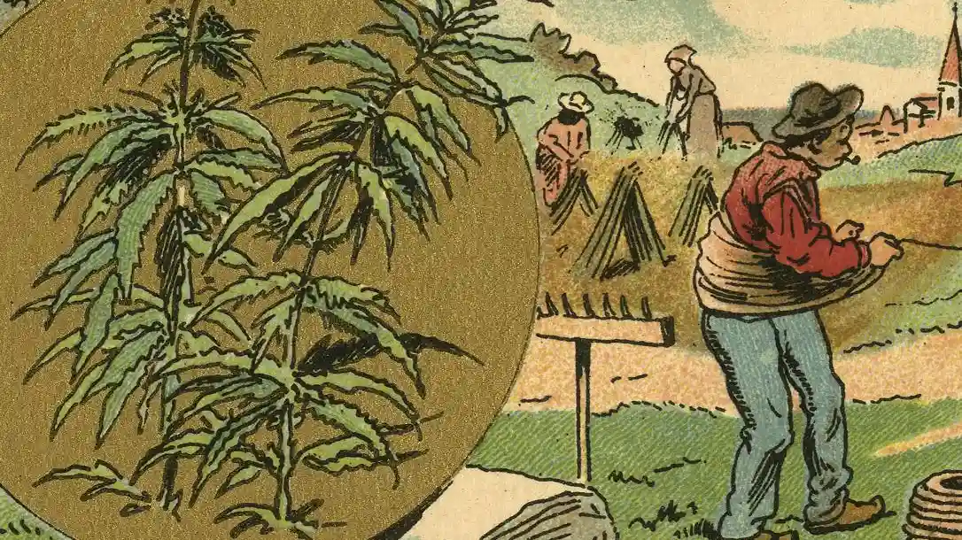 Hash Marihuana & Hemp Museum: Entry Ticket + Audio Guide Provided by Hemp Museums B.V.