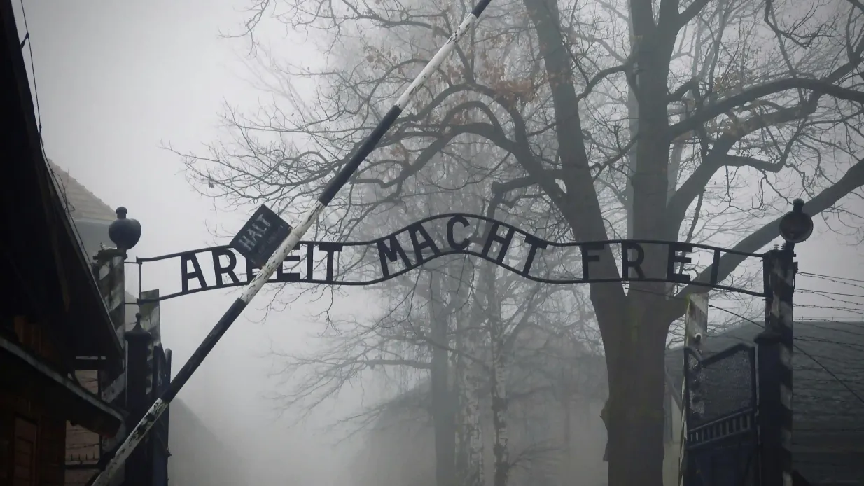 Auschwitz-Birkenau: Tour libre + Transporte desde Cracovia