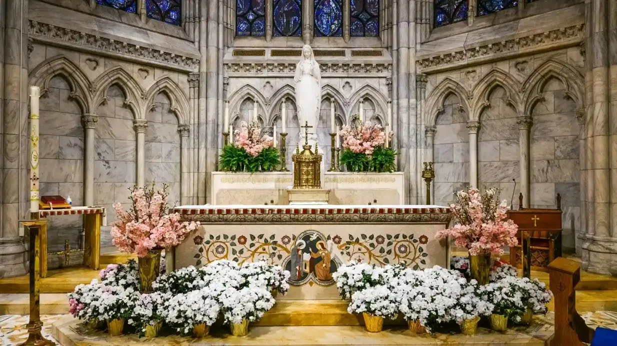 Tour oficial com áudio da Catedral de São Patrício: Audiotour Organizado por TourPatron