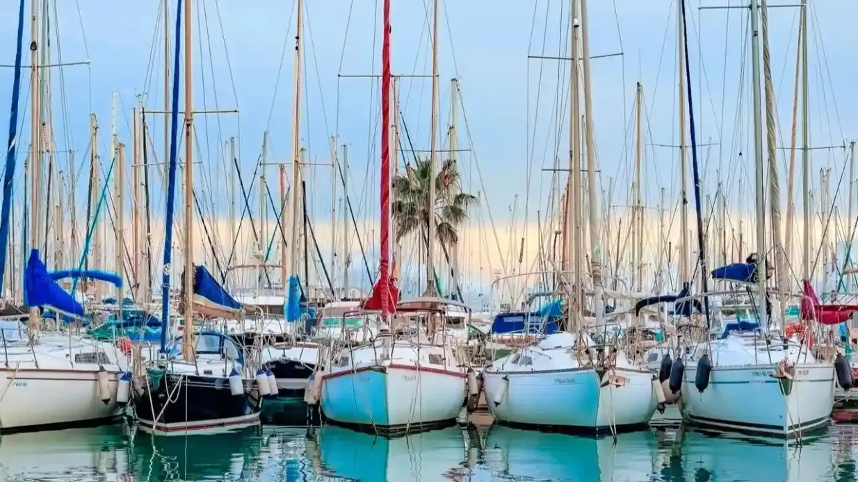 Palma de Mallorca: Passeio de barco City Sightseeing