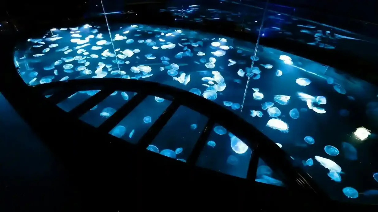 Acquario di Sumida: Biglietto d'ingresso
