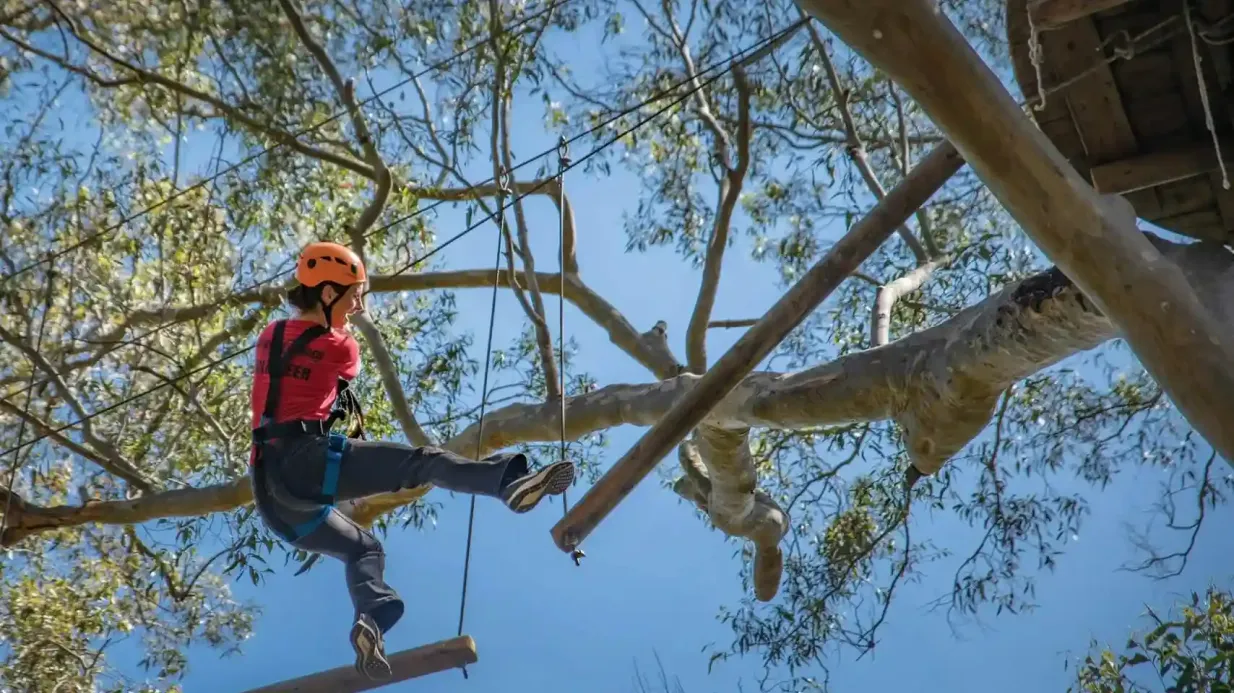 Sydney Ouest : Treetops Adventure Fournie par TREES ADVENTURE HOLDINGS PTYLTD