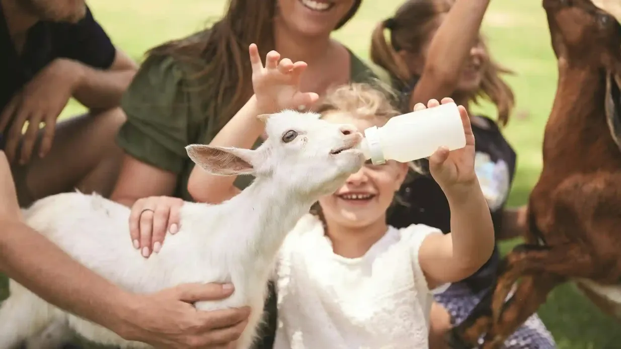 Oakvale Wildlife Park: Entry Ticket Provided by Oaklands Pty Ltd Trading As Oakvale Wildlife Park