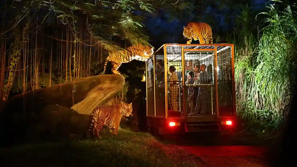 Bali Safari & Marine Park : Safari de nuit Fournie par Tiqets International B.V.