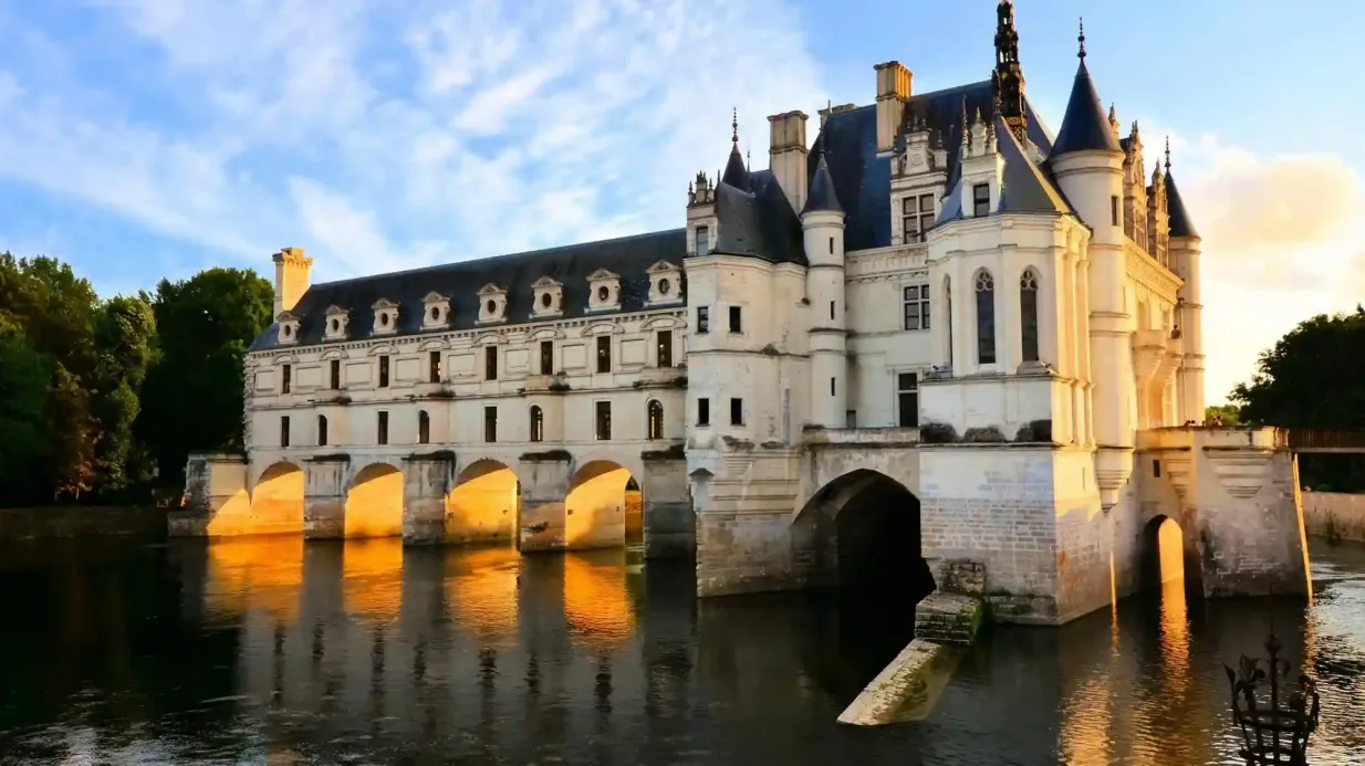 Vallée de la Loire : Excursion d'une journée avec entrée au château + dégustation de vin