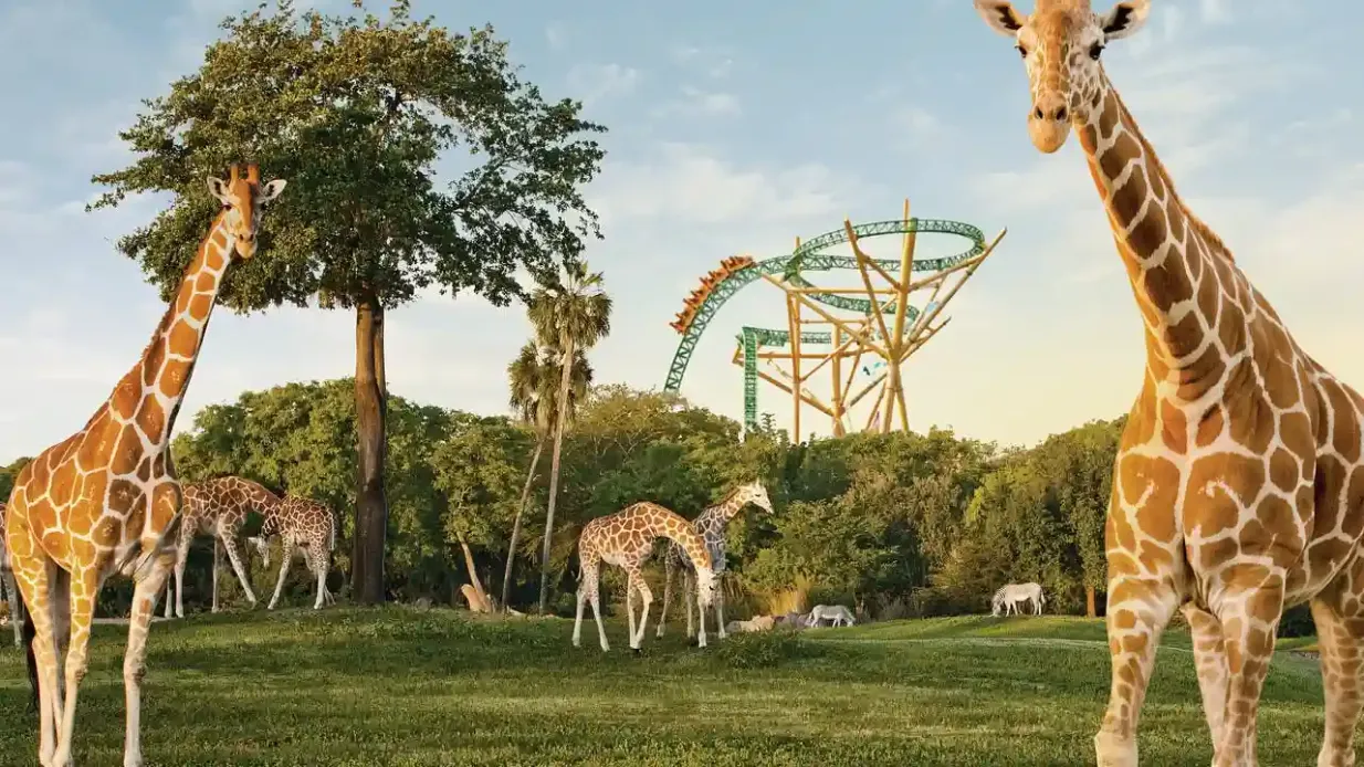 SeaWorld Orlando: Multi-Park Pass + Free All-Day Dining Provided by SeaWorld Orlando: Multi-Park Pass + Free All-Day Dining