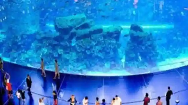 Dubai Aquarium & Underwater Zoo: Silver Pass