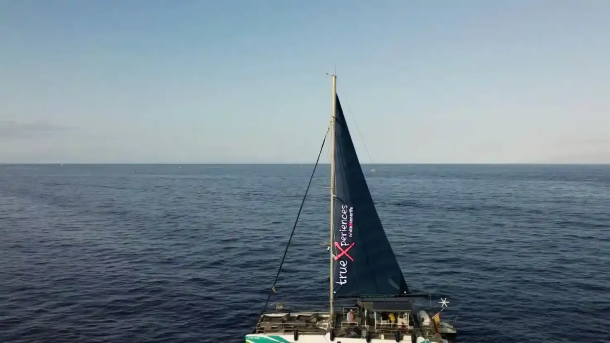 Tenerife: tour di 3 ore in catamarano con osservazione di balene e delfini Fornito da CHARTER VELA Y MOTOR SLUNIPERSONAL
