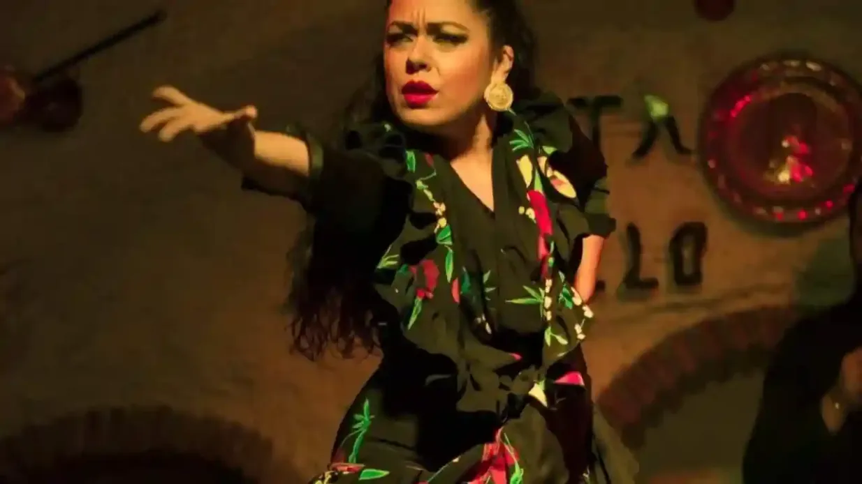 Venta El Gallo Granada : Spectacle de flamenco + dîner ou 1 boisson Fournie par Venta el Gallo SL