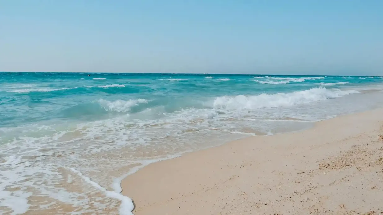 Spiaggia di Saadiyat Kai: Giorno Pass