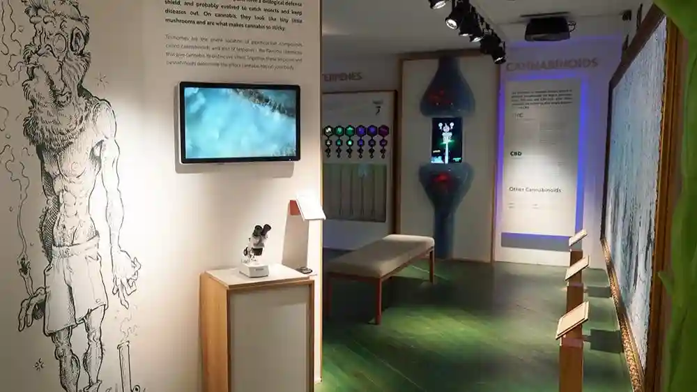 Cannabis-Museum Amsterdam: Eintrittskarte + Audioguide
