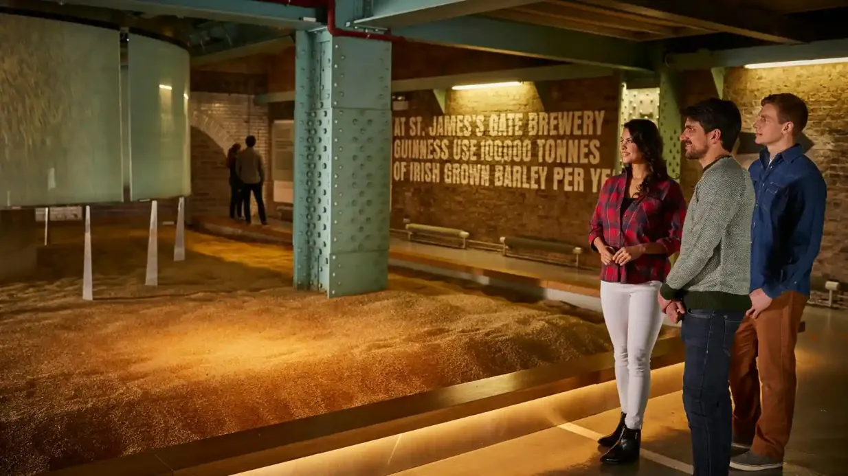 Guinness Storehouse e Distilleria Jameson: Tour guidato, degustazioni e bevande