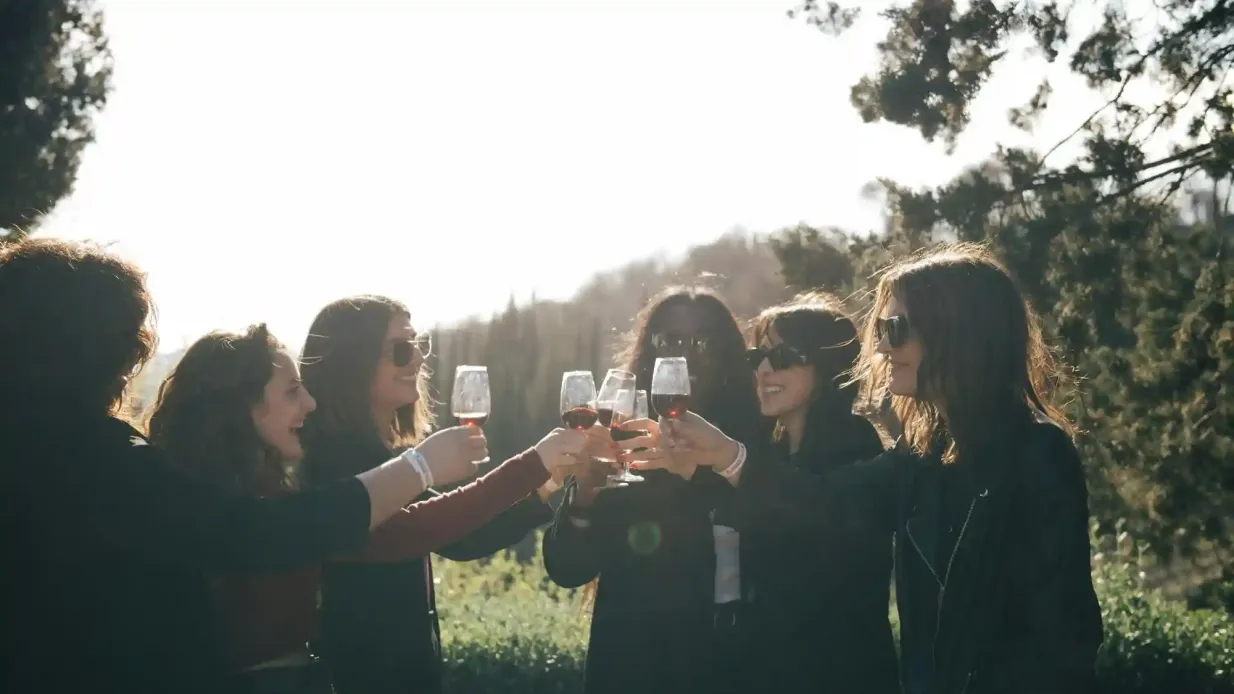 Chianti: tour guidato dei vini da Firenze + degustazione Fornito da Sightseeing Experience SRL