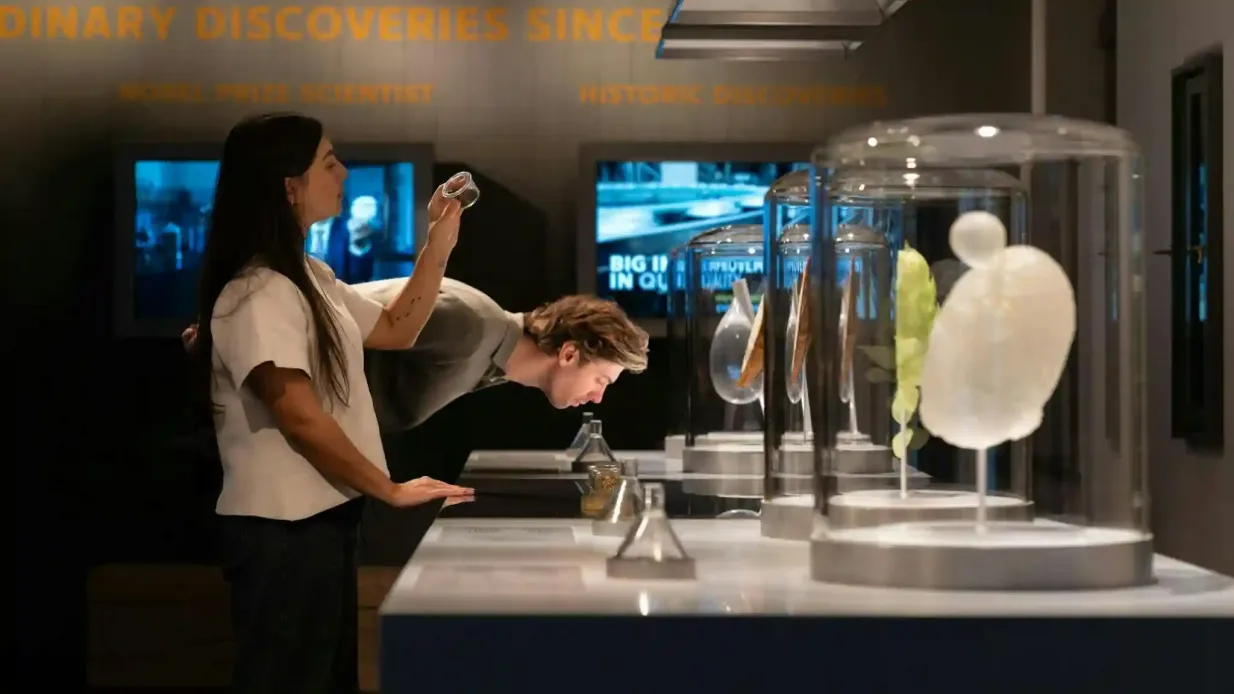 Casa de Carlsberg: Visita guiada a la bodega + 1 Bebida Operado por Home of  Carlsberg