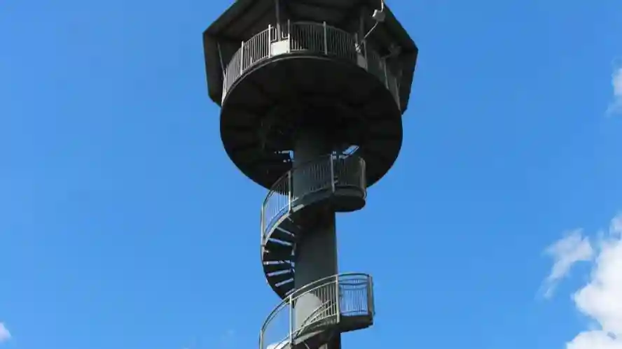 Illawarra Fly Treetop Adventures : Promenade dans les arbres Fournie par AUSTRALIA FLY & CLIMB PTY LTD