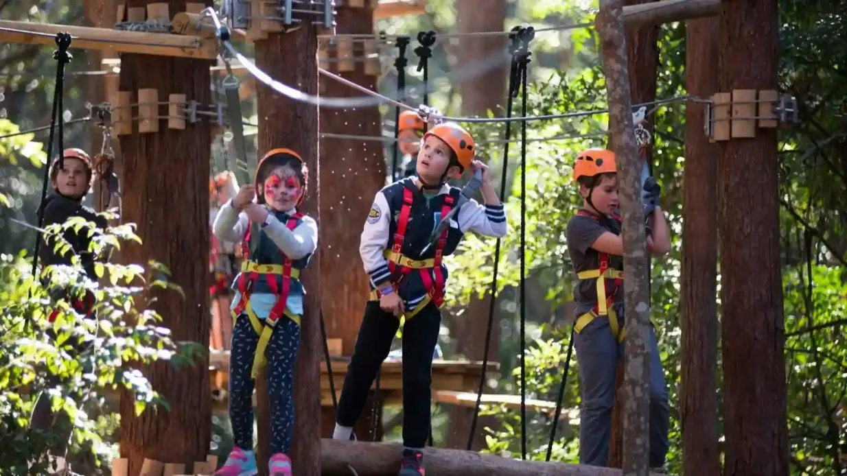 Treetops Adventure Belgrave : Billet d'entrée junior Fournie par TREES ADVENTURE HOLDINGS PTYLTD