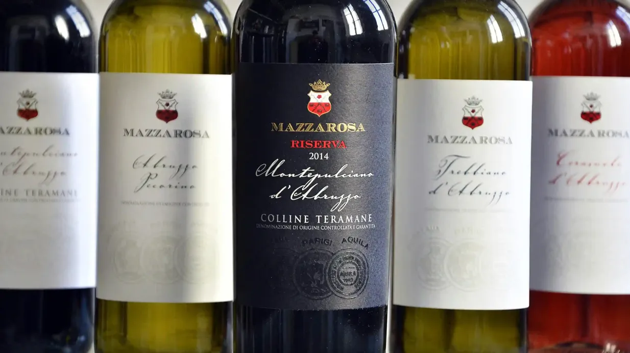 Abruzzo Historical Cellar Tour And Tasting Provided by Mazzarosa Winery