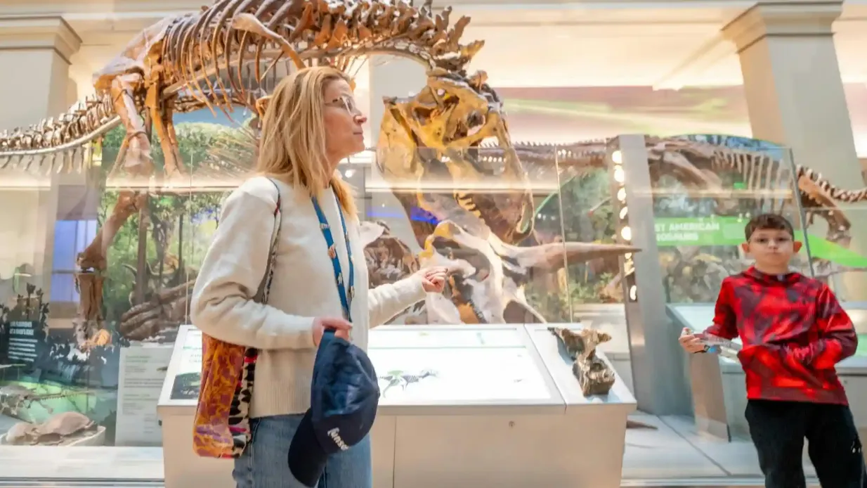 Smithsonian Institution Museen: Geführte Tour + Air & Space Timed Entry
