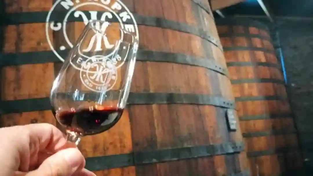 Douro Valley, Amarante & Régua: Day Trip + River Cruise & Wine Tasting Provided by CARRISTUR