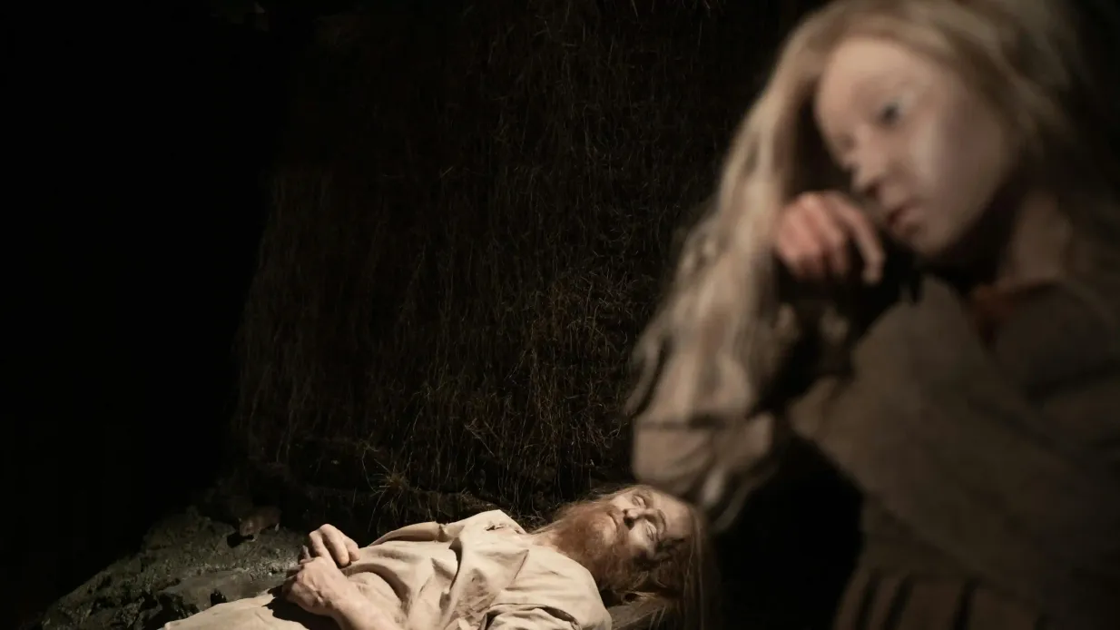 Saga-Museum: Eintrittskarte