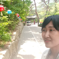 GJ Won — Guía del Visita guiada por Seúl, Corea del Sur