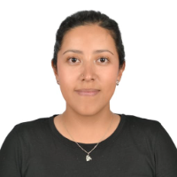 Belén &mdash; Guide of La Paz & El Alto: Urban Wonders Unveiled, Bolivia