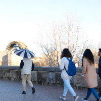 Rafael — Guide of Cordoba Essentials: Free City Tour, Spain