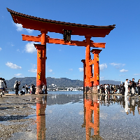 Malek — Guide of History of Hiroshima Walking Tour, Japan