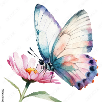 Flutura &mdash; Guida di Tour a piedi gratuito della vera Tirana: La città oltre la superficie, Albania