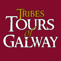 Oisin &mdash; Guide of Tribes Pub Crawl, Ireland