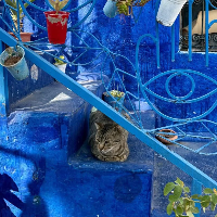 Rachida &mdash; Guía del Explora Chefchaouen con un amigo de la zona, Marruecos