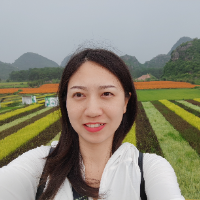 Sophie &mdash; Guida di Tour gratuito a piedi nel centro di Chengdu: dove la storia incontra la modernità, Cina